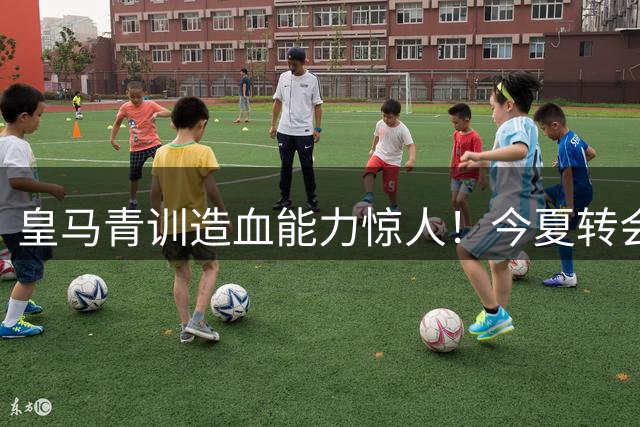 皇马青训造血能力惊人！今夏转会收入破2亿欧元创新高